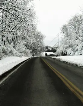 5x7ft Зимние Снежные Фоны для Фотосъемки с деревьями и дорогой, реквизит для фотосессии, студийный фон
